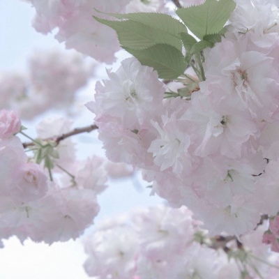 南漳福瑞交流群